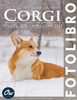 Corgi
