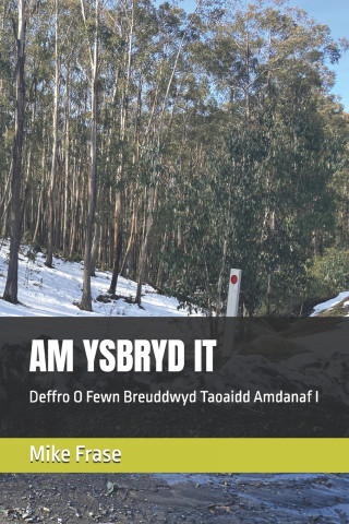 AM YSBRYD IT