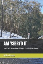 AM YSBRYD IT