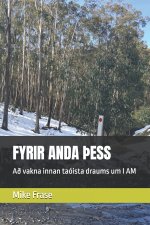FYRIR ANDA ÞESS