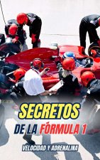 Secretos de la Fórmula 1