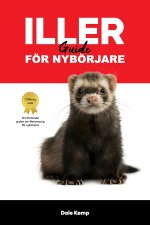 ILLER GUIDE FÖRNYBÖRJARE