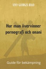 Hur man övervinner pornografi och onani