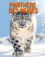 Panthère des Neiges
