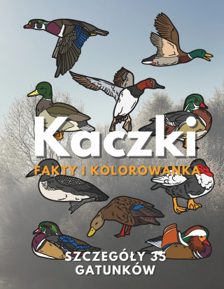 Kaczki
