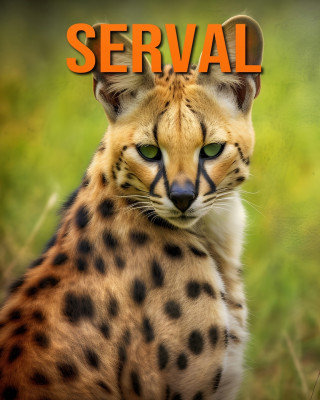 Serval