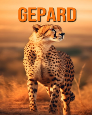 Gepard