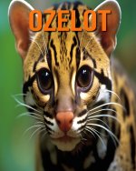 Ozelot