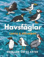 Havsfåglar