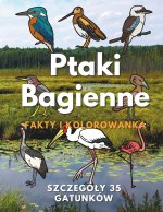 Ptaki bagienne