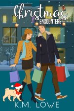 Christmas Encounters