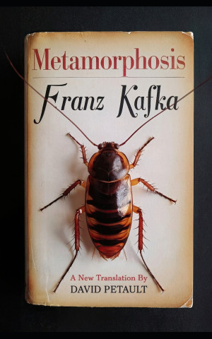 Metamorphosis