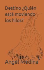 Destino ¿Quién está moviendo los hilos?