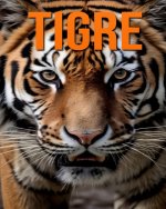 Tigre