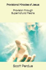 Provisional Miracles of Jesus