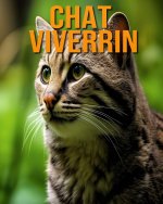 Chat Viverrin