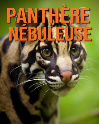 Panthère Nébuleuse