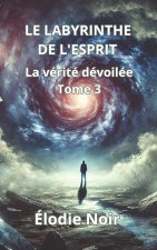 LE LABYRINTHE DE L'ESPRIT