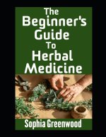 The Beginner's Guide To Herbal Medicine
