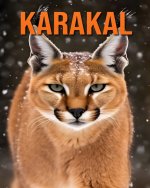 Karakal
