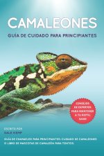 CAMALEONES GUÍA DE CUIDADO PARA PRINCIPIANTES