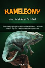 KAMELEONY JAKO ZWIERZĘTA DOMOWE