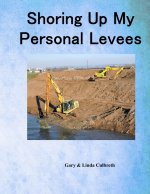Shoring Up My Personal Levees