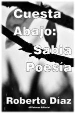 Cuesta Abajo