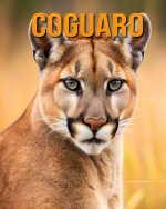 Coguaro