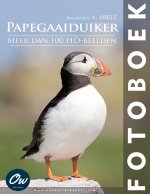 Papegaaiduiker