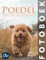 Poedel