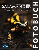 Salamander