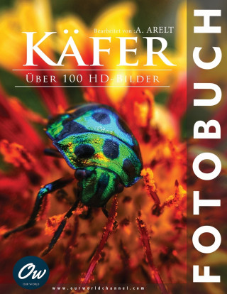 Käfer