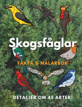 Skogsfåglar