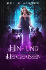 Hin- und Hergerissen