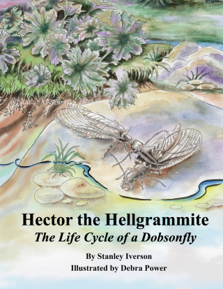 Hector the Hellgrammite
