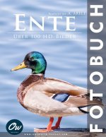Ente