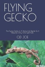 FLYING GECKO