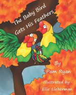 The Baby Bird Gets His Feathers