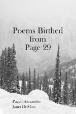 Poems Birthed from Page 29