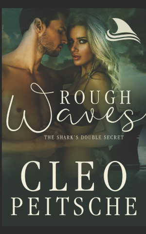 Rough Waves