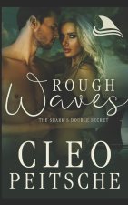 Rough Waves