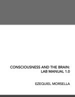 Consciousness and the Brain