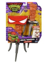 Raphael Transforming Sai