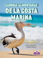 Cadenas Alimentarias de la Costa Marina (Seashore Food Chains)