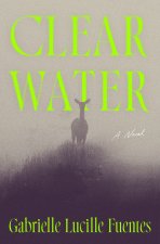 Clear Water