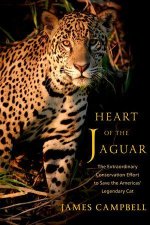 Heart of the Jaguar – The Extraordinary Conservation Effort to Save the Americas? Legendary Cat