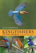Kingfishers of the World