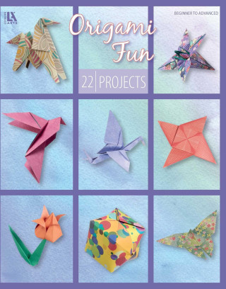 Origami Fun