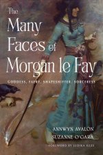 The Many Faces of Morgan Le Fay